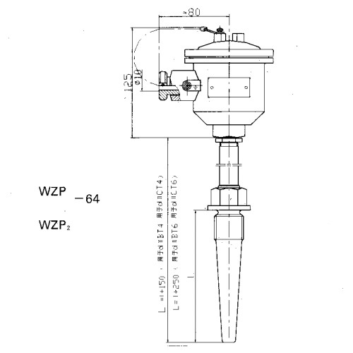 WZP2-64S隔爆热电阻