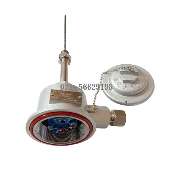 隔爆型一体化温度变送器